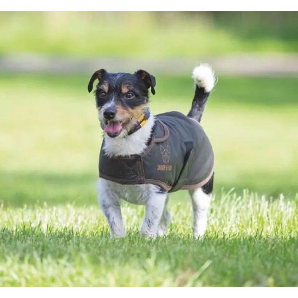 Digby & Fox Shires Wax Dog Coat Jacket Medium